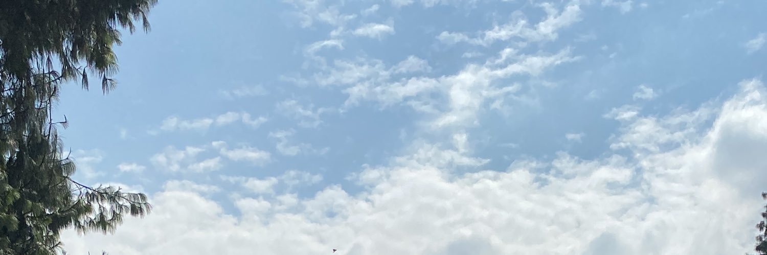 MariaMila458's profile banner image