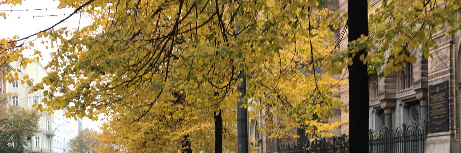 montesmarcelo's profile banner image