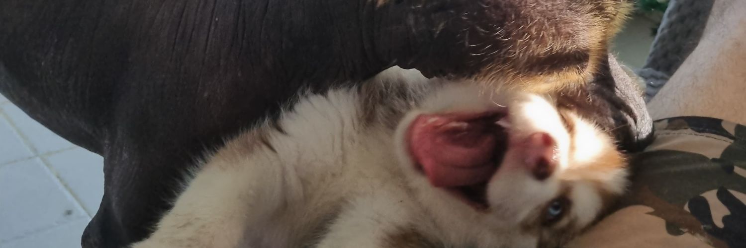 Facm3000's profile banner image