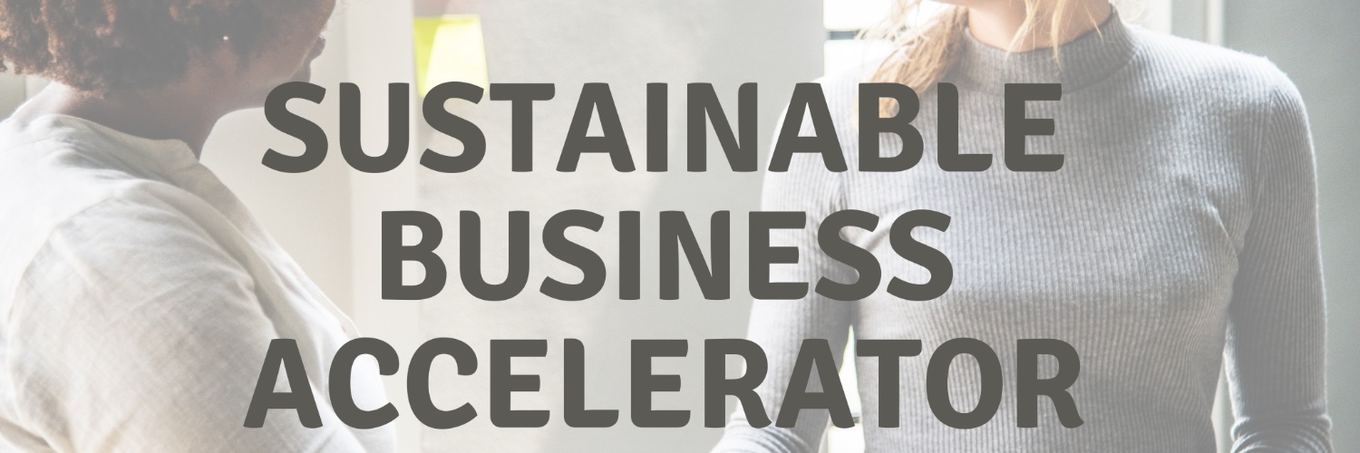 Think Big! Program banner