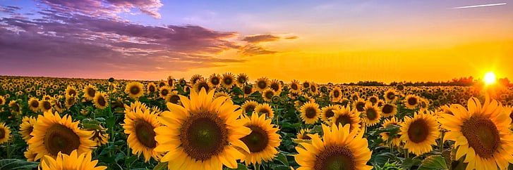Jess_oo7's profile banner image