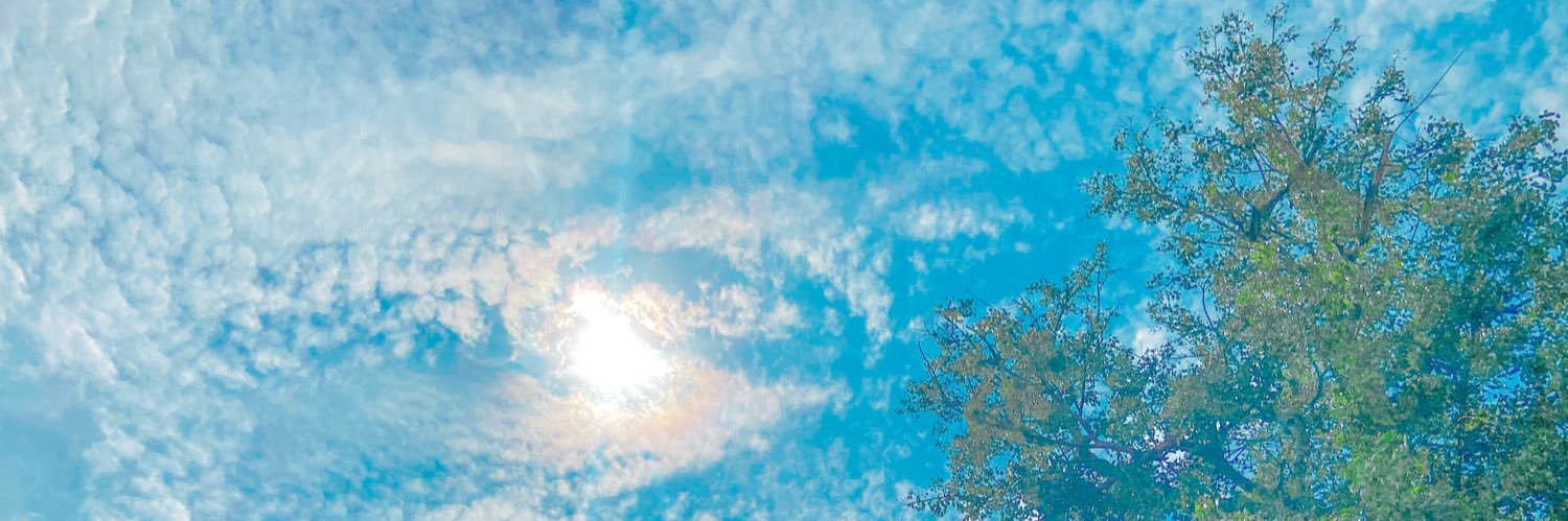 ZeAudz's profile banner image