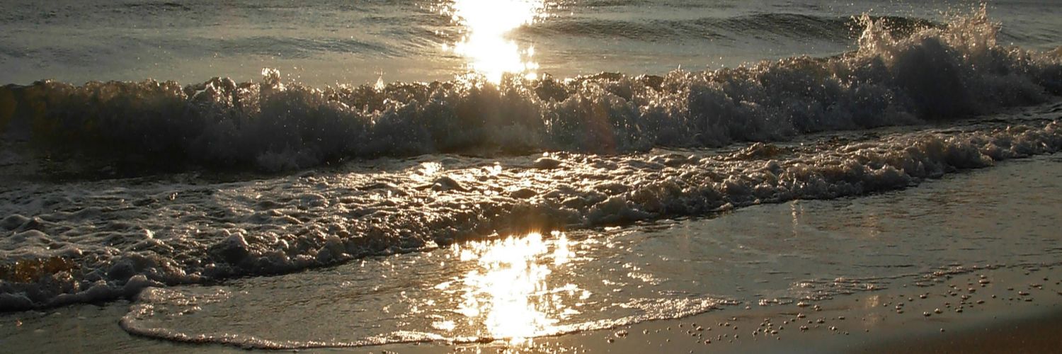 zz96zz's profile banner image