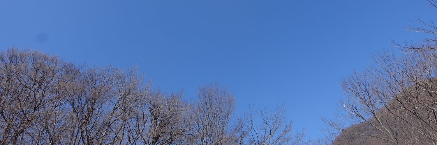 _double_trees's profile banner image