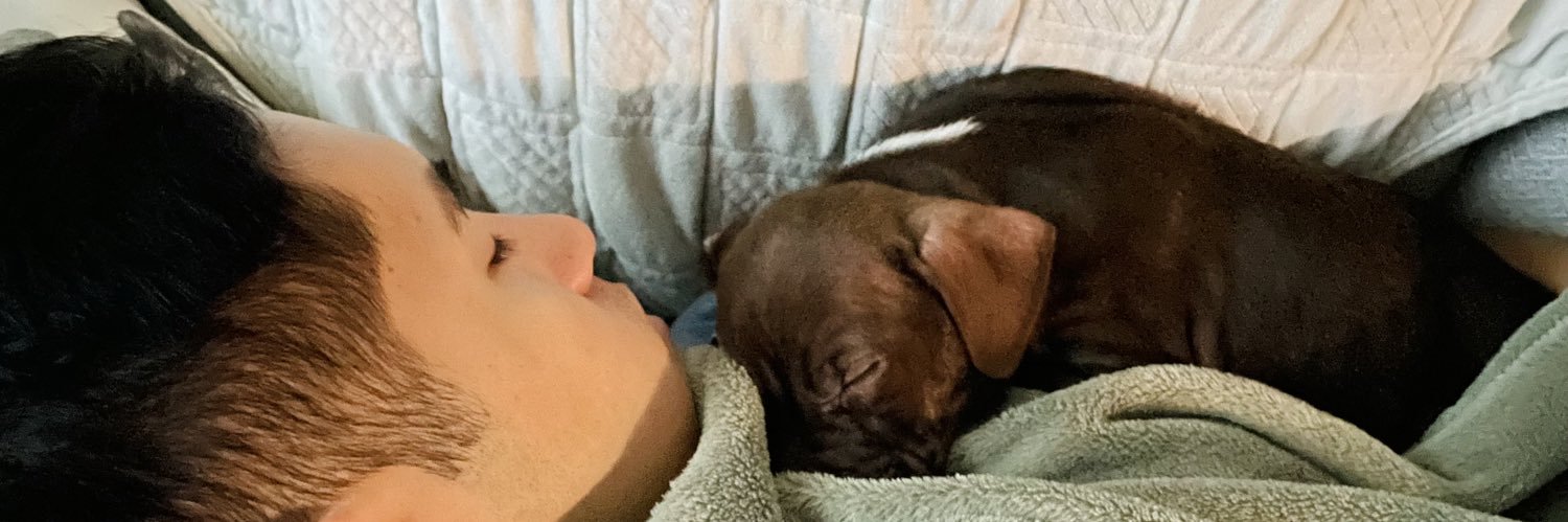 OhSillyStacy's profile banner image