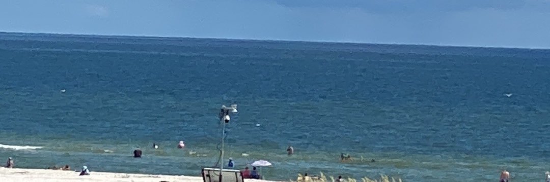 Robb Turner 🐘 banner