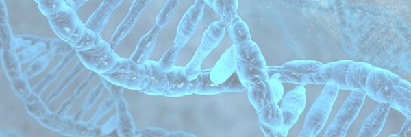 IsabelleMMansuy Profile Banner