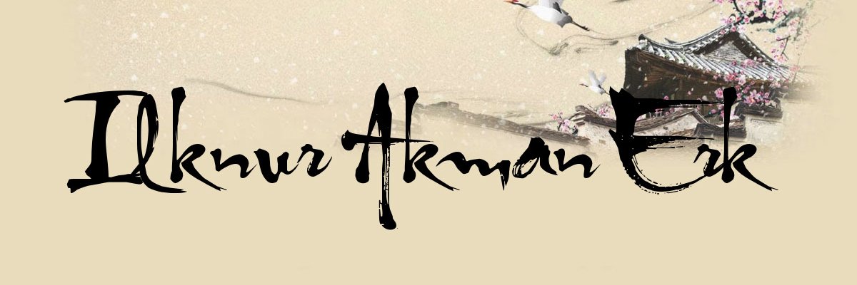 İlknur Akman Erk banner