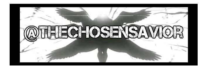 TheChosenSavior's profile banner image