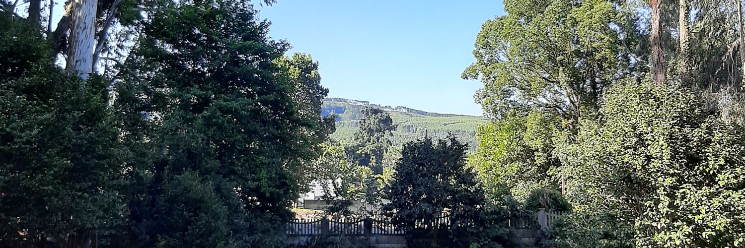 bearnecpmb's profile banner image