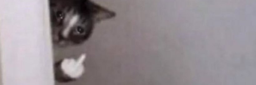 aprillmalvasio's profile banner image