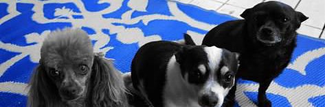ejpullen's profile banner image
