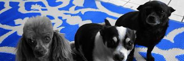 ejpullen Profile Banner