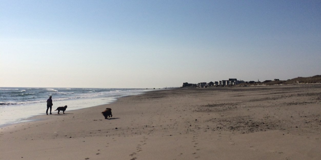 HumarockBeach's profile banner image