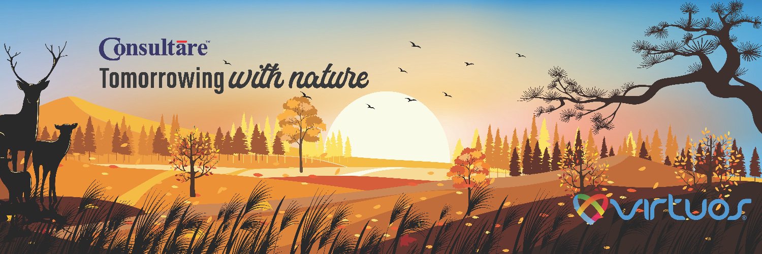 Virtuos Consultare banner