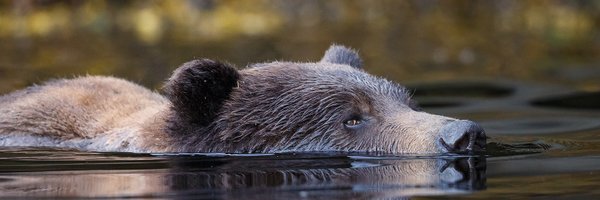 ColleenGara Profile Banner