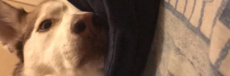 kody_bongo03's profile banner image
