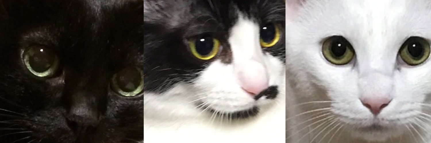 miepon's profile banner image