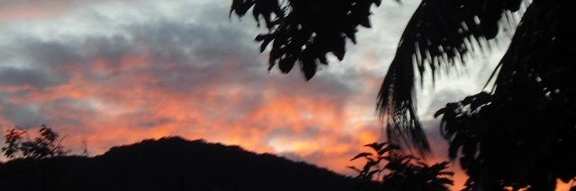 WariofromEarth's profile banner image