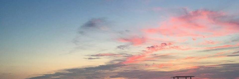 SwallowsUV's profile banner image