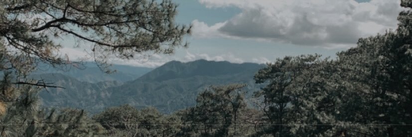 thearuthfrances's profile banner image