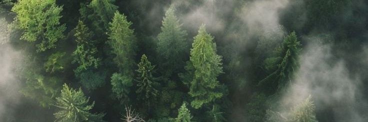 ItsLVB's profile banner image