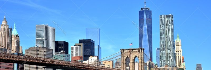 Tom Pascale banner