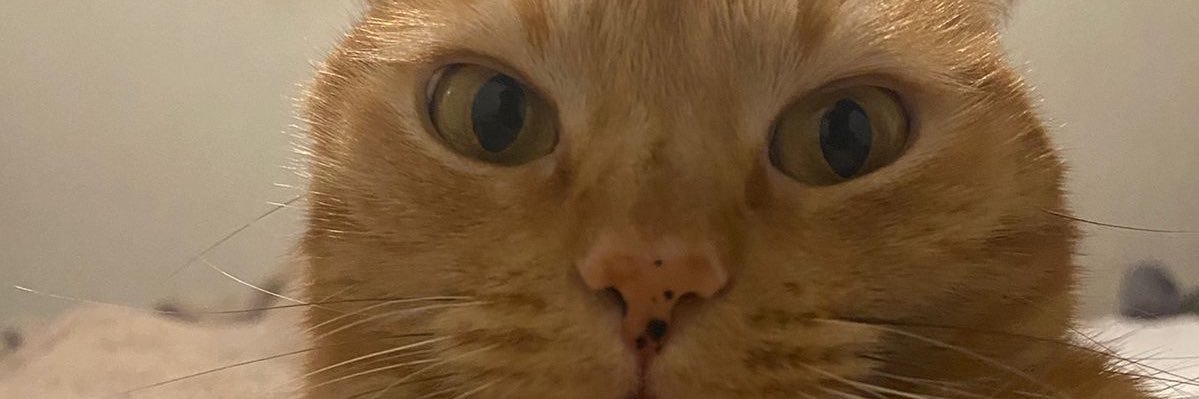 JeanethAF's profile banner image