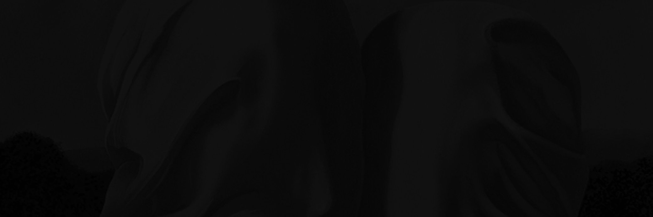 RomanRops's profile banner image