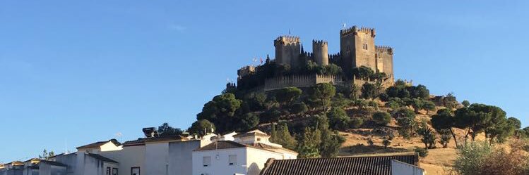 SamVardy7's profile banner image