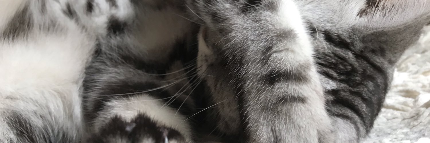 zyun220's profile banner image