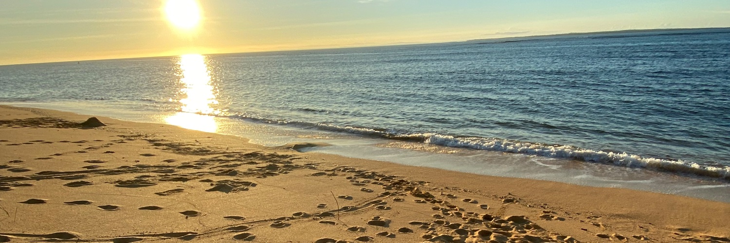 landaganangelo's profile banner image