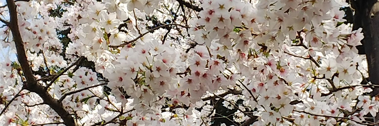 178You's profile banner image