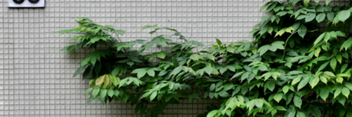 jaismiles's profile banner image