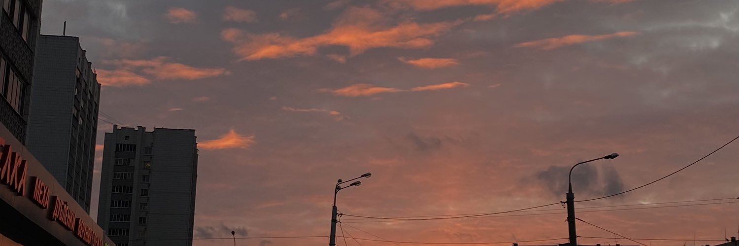 dinosayok's profile banner image