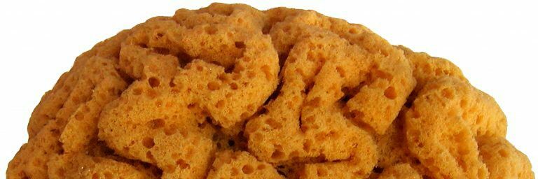 SPONGEarchitect's profile banner image