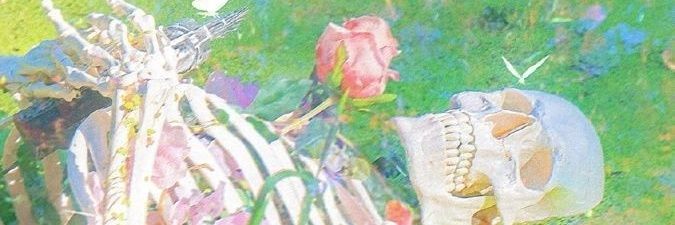 brunaschefer's profile banner image