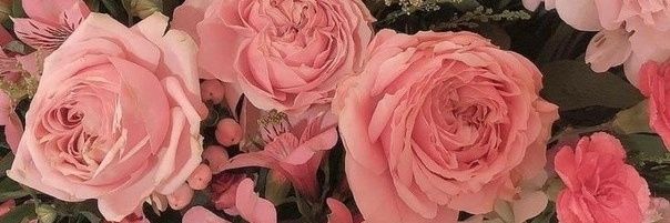 Solo (but sorry I am not a bot or anything!) banner