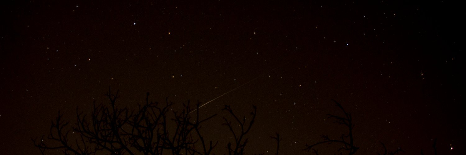 Francesca Ghetti banner