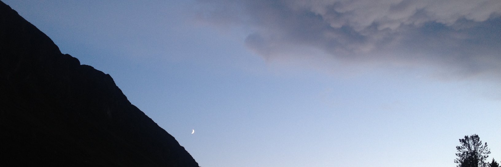 Jean Andreasen 🌻🩸🦷 banner