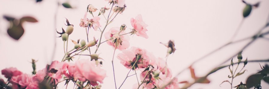 phungle601's profile banner image
