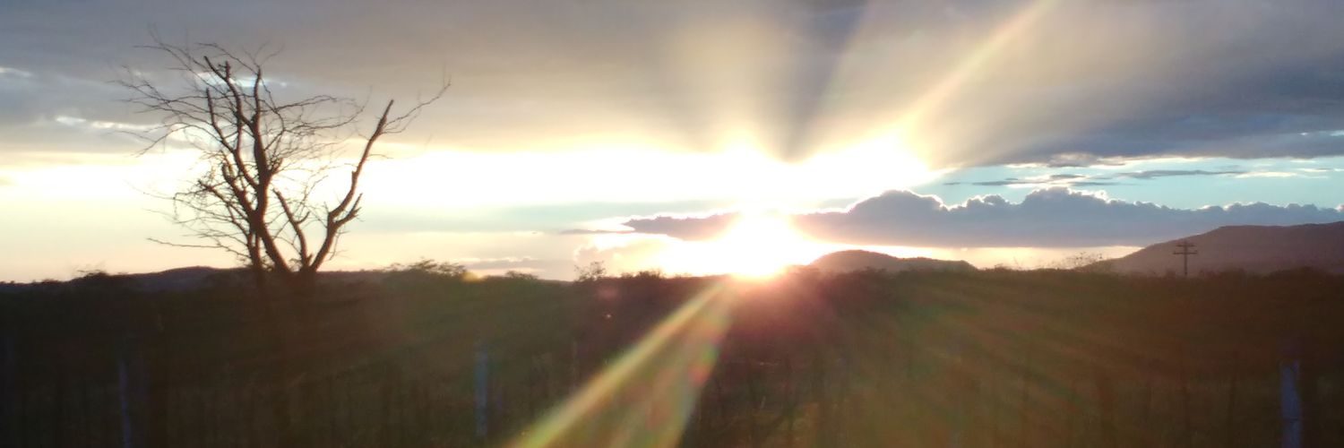 luizpas's profile banner image
