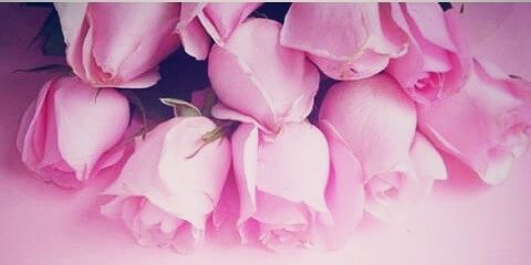 MaristaEP's profile banner image
