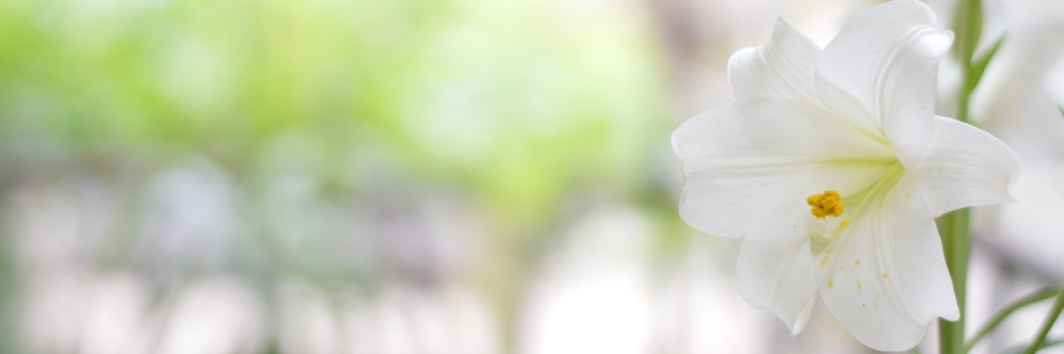 tarektm's profile banner image