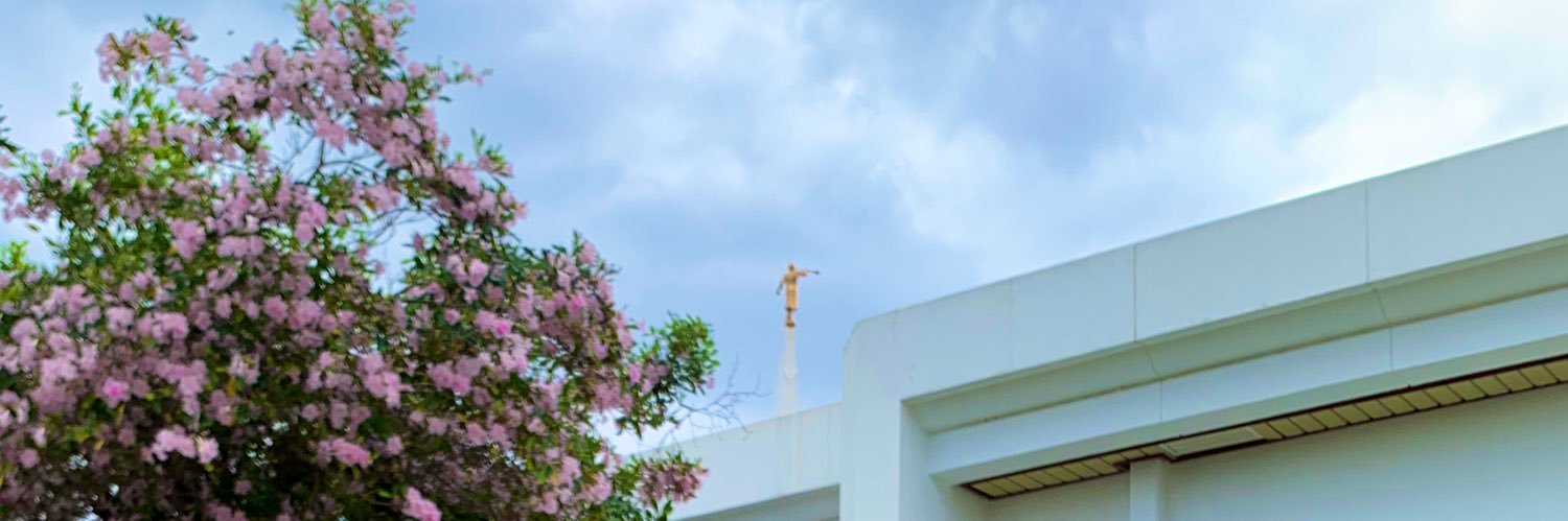 deenhernz's profile banner image