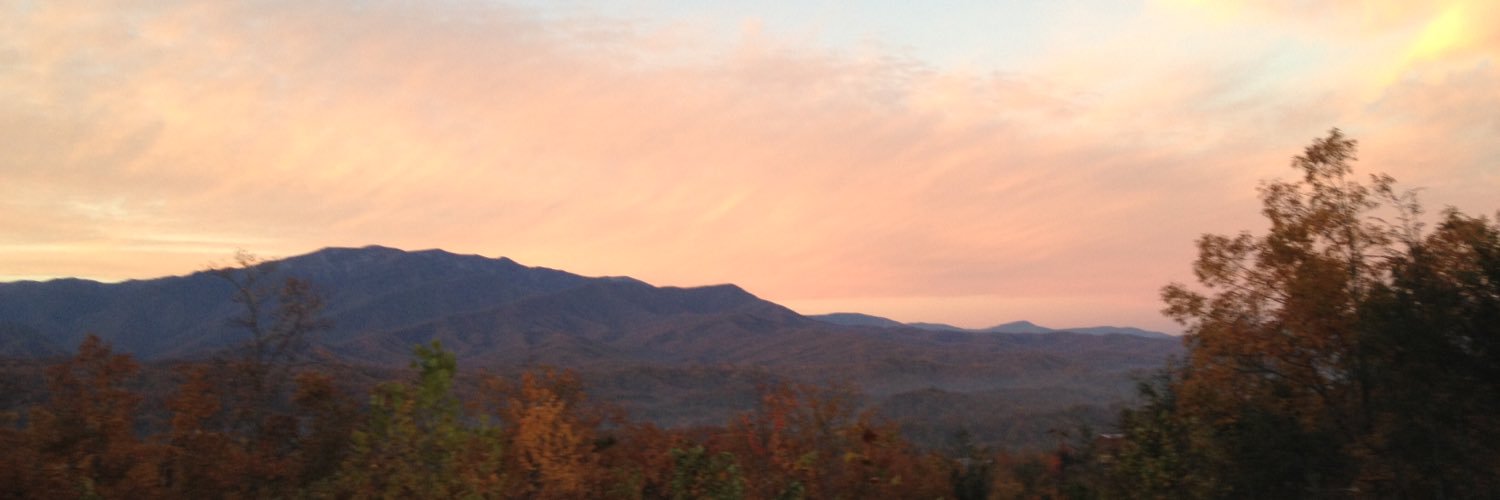 Becca Franklin banner
