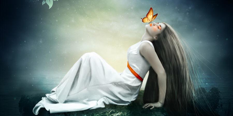 Gail,s Butterfly banner