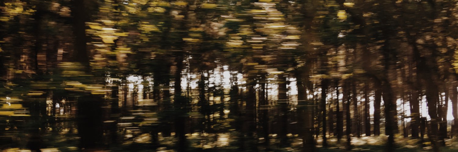 charfisher95's profile banner image