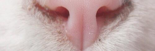 monzec's profile banner image