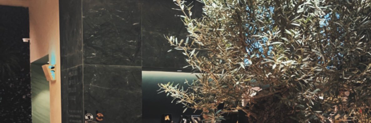zddz0's profile banner image